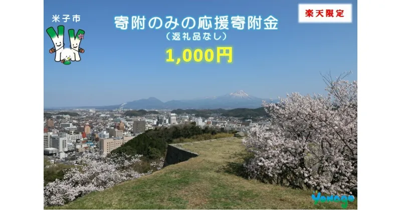 【ふるさと納税】米子市応援寄付金1,000円（返礼品なし）選べる使い道【21-000-001】楽天限定