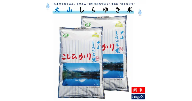 【ふるさと納税】新米 令和6年産 こしひかり 大山しらゆき米 5kg×2 計10kg 精白【24-018-010】むろ米穀 こめ お米 コシヒカリ 10キロ 朝ごはん コメ むろ米 鳥取 お弁当 子供 おにぎり お取り寄せ 鳥取県 米子市 人気 18000円