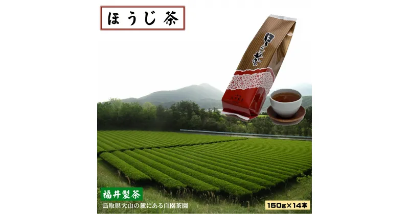 【ふるさと納税】ほうじ茶 150g×14本【24-014-005】 福井製茶 鳥取県大山の麓・米子市淀江町のつぼかめ山にある自園茶園にて栽培 お茶 飲料 普段使いに 来客に お盆に おもてなしに 焙煎による香ばしい香り 飲みやすい お取り寄せ 鳥取県産 鳥取県 米子市