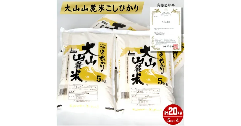 【ふるさと納税】新米 令和6年産 大山山麓米こしひかり 5kg×4 計20kg【24-038-003】名水の里ではぐくまれたおいしいお米 みずほ米穀 商標登録品 コシヒカリ お米 こめ 精米 米 20キロ 5キロ×4 美味しい お取り寄せ グルメ 産地直送 鳥取県産 鳥取県 米子市 送料無料