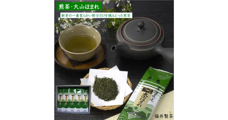 【ふるさと納税】煎茶 大山ほまれ 100g×5本セット 計500g【24-014-001】福井製茶 新芽の一番柔らかい部分だけを摘みとった煎茶 鳥取県大山の麓・米子市淀江町のつぼかめ山にある自園茶園 お茶 せん茶 飲料 お取り寄せ 鳥取県産 鳥取県 米子市