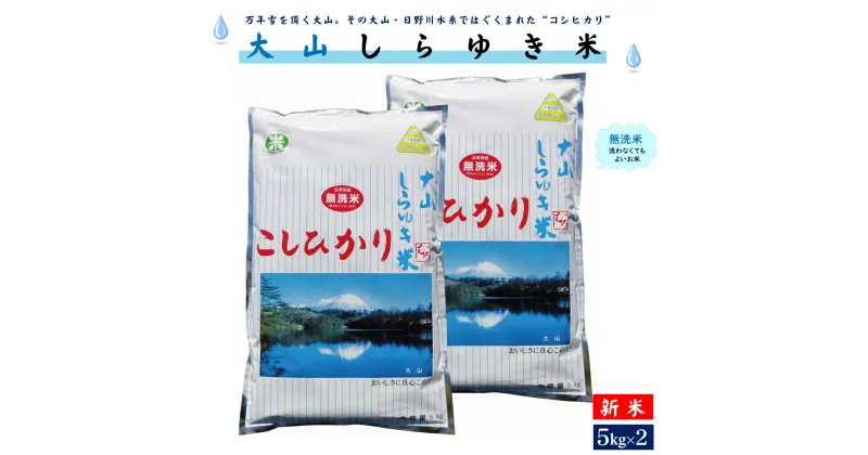 【ふるさと納税】新米 令和6年産 無洗米 大山しらゆき米 10kg コシヒカリ 5kg×2 計10kg 【24-019-008】むろ米穀 米 お米 おこめ コメ 子供 子ども 朝ごはん 朝食 10キロ 鳥取県 米子市 18000円