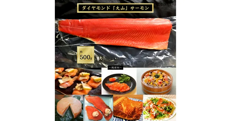 【ふるさと納税】国産 スモークサーモン 半身フィレ 500g A 冷凍【ダイヤモンド「大山」サーモン【24-010-073】音楽工船 和風スモーク 魚 お取り寄せ グルメ 鮭 サケ 養殖 大山サーモン スモークフィレ 鳥取県 米子市 数量限定 1万 10000円