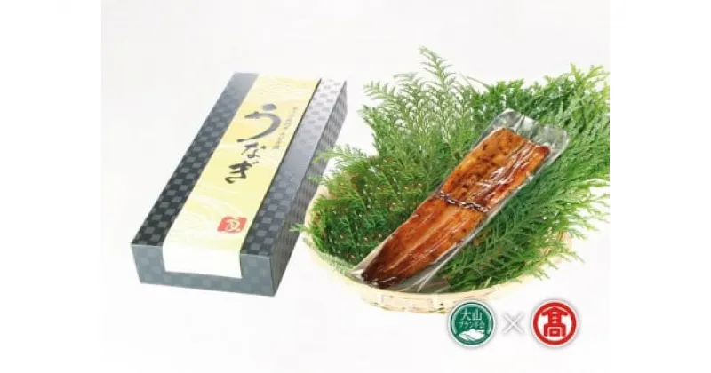 【ふるさと納税】純国産 鰻 かば焼き 1尾(100g～115g) （大山ブランド会）冷凍 東京田園調布うなぎ圓【18-DJ1】東京田園調布の老舗鰻店から引き継いだ秘伝のたれ使用 丑の日 国産うなぎ うなぎ 鰻 蒲焼き かばやき ウナギ お取り寄せ グルメ 魚 海鮮 鳥取県 米子市