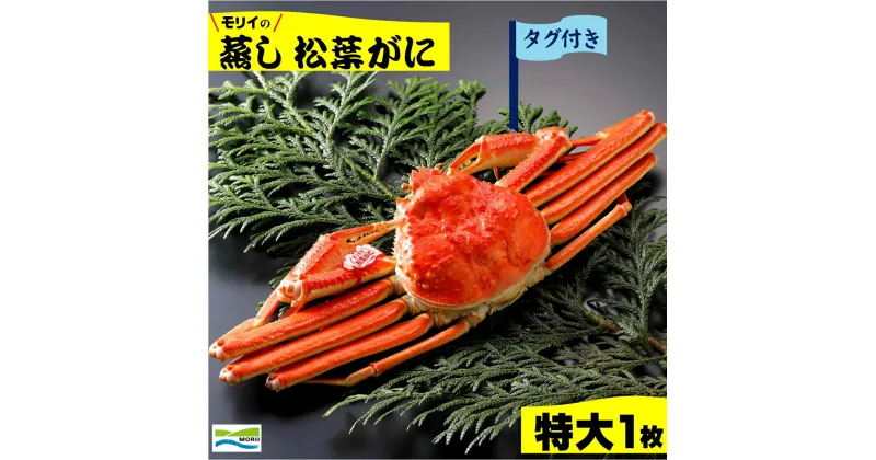 【ふるさと納税】先行予約 鳥取県産 タグ付き 蒸し松葉がに (特大1枚) 冷蔵【23-100-001】モリイ食品 松葉ガニ かに カニ 蟹 松葉かに 海鮮 海の幸 ズワイガニ 鳥取 鳥取県 米子市 送料無料【R6年11月中旬～2月下旬の発送】