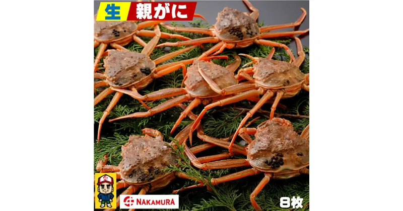 【ふるさと納税】先行予約 鳥取県産 生親がに 8枚 計約1kg 冷蔵【23-040-004】【11月8日～12月20日発送】中村商店 数量限定 期間限定 かに カニ 蟹 カニ身 かにミソ 内子 外子 ボイル済 お取り寄せ グルメ 鳥取県 米子市 送料無料