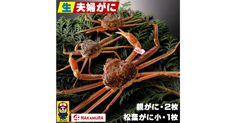 【ふるさと納税】先行予約 鳥取県産 生夫婦がに【松葉がに小×1枚・親がに×2枚】計約700g 冷蔵【23-050-003】【11月8日～12月20日発送】中村商店 松葉ガニ かに カニ 鳥取 蟹 カニ身 かにミソ 内子 外子 お取り寄せ グルメ 鳥取県 米子市 送料無料