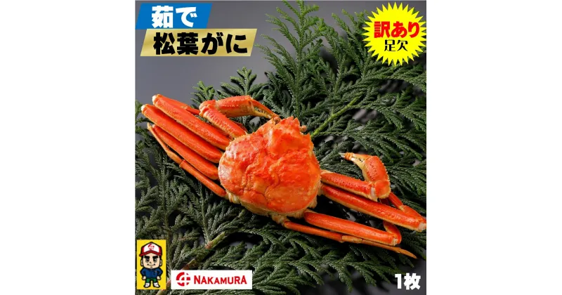 【ふるさと納税】【訳あり】先行予約 鳥取県産 茹で松葉がに 大1枚（足1本なし） 約800g 冷蔵【23-070-001】【11月8日～2月末発送】中村商店 松葉ガニ 蟹 かに カニ 鳥取 足欠け ご家庭 海鮮 海の幸 お取り寄せ ご当地 グルメ 鳥取県 米子市