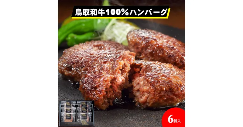 【ふるさと納税】氷温®熟成【大山物語】鳥取和牛100％手造りハンバーグ 100g×6【24-012-009】ホクニチ 和牛100% お取り寄せ グルメ 和牛ハンバーグ ジューシー 肉汁 肉 加工品 惣菜 簡単調理 おかず 夕飯 時短 お手軽 グルメ 鳥取県 米子市