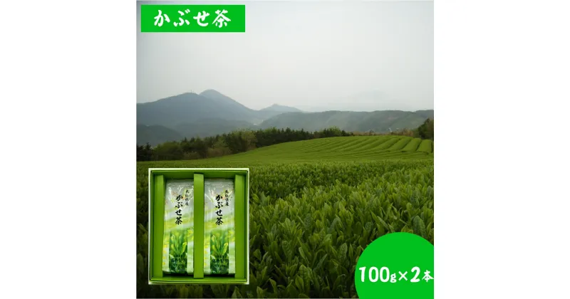 【ふるさと納税】かぶせ茶 100g×2本 計200g【24-008-003】福井製茶 鳥取県大山の麓・米子市淀江町のつぼかめ山にある自園茶園 お茶 飲料 お取り寄せ 国産 茶葉 鳥取県産 鳥取県 米子市