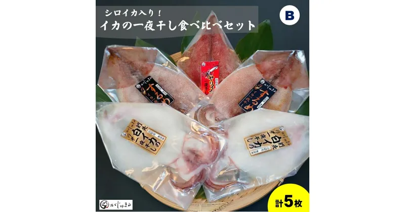 【ふるさと納税】イカの一夜干し 食べ比べセット・シロイカ入り（Bセット）冷凍 真空パック【24-014-002】がじゅまる 干物 一夜干し 干もの 魚 さかな 海鮮 海の幸 個包装 小分け 白いか いか シロイカ 詰め合わせ お取り寄せ グルメ 鳥取県 米子市