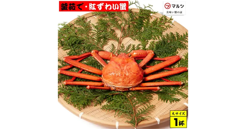 【ふるさと納税】先行予約 蟹屋の釜茹で紅ずわい蟹（大）500～600g×1杯 冷蔵 境港産【24-015-027】【老舗「蟹専門店」株式会社マルツ】塩茹で ボイル済 かに カニ 蟹 紅ずわいがに 鍋 海鮮 海の幸 鳥取県産 鳥取県 米子市 期間限定【R6年10月～R7年3月発送】