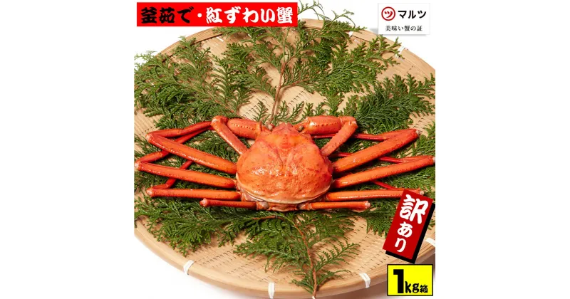 【ふるさと納税】先行予約 【訳あり】蟹屋の釜茹で紅ずわい蟹1kg箱詰めセット（500g前後×2杯）冷蔵 境港産【24-015-028】株式会社マルツ 塩茹で ボイル済 かに カニ 蟹 紅ずわいがに 鍋 海鮮 鳥取県産 鳥取県 米子市 期間限定【R6年10月～R7年3月発送】