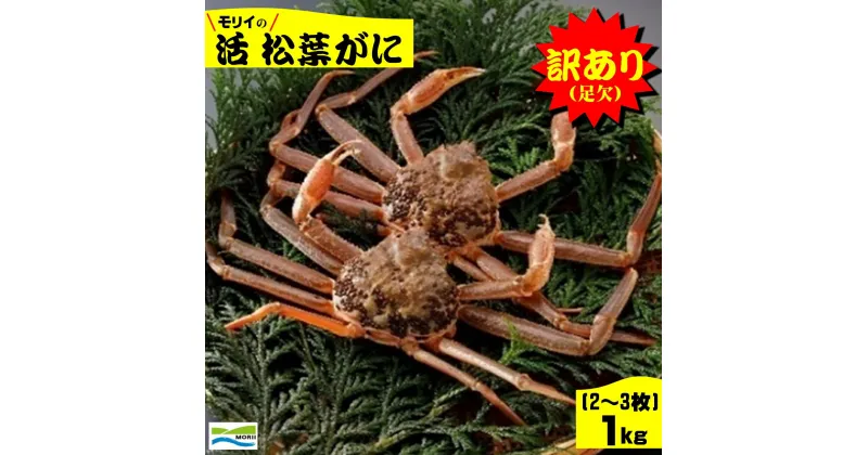 【ふるさと納税】先行予約【訳あり】鳥取県産 足欠け 活松葉がに1kg（2~3枚）冷蔵【24-050-004】モリイ食品 松葉ガニ かに カニ 蟹 松葉かに 海鮮 海の幸 ズワイガニ 鳥取県産 鳥取県 米子市 送料無料【11月中旬～2月末の発送】