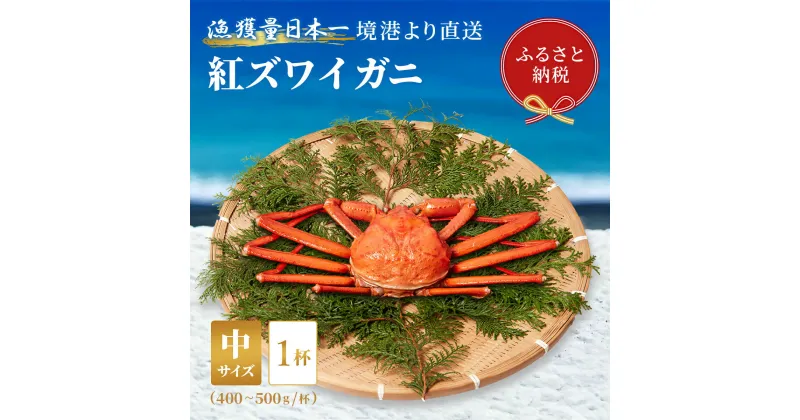 【ふるさと納税】【蟹セレブ】境港産 紅ズワイガニ 中1杯（400～500g×1）ボイル済 冷蔵【24-014-007】蟹 かに カニ 紅ずわいがに 紅ズワイ 紅がに 塩茹で 釜茹で ゆでがに 海鮮 海の幸 冬の味覚 鳥取県 米子市 送料無料