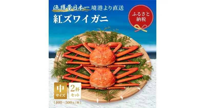 【ふるさと納税】【蟹セレブ】境港産 紅ズワイガニ 中2杯セット（400g～500g×2） ボイル済 冷蔵【24-026-002】蟹 かに カニ 紅ずわいがに 紅ズワイ 紅がに 塩茹で 釜茹で ゆでがに 海鮮 海の幸 冬の味覚 鳥取県 米子市 送料無料