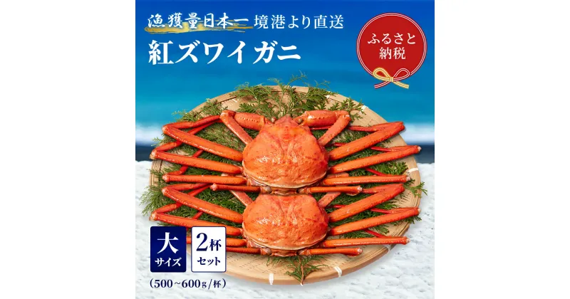 【ふるさと納税】【蟹セレブ】境港産 紅ズワイガニ 大2杯セット（500～600g×2）ボイル済 冷蔵【24-040-009】蟹 かに カニ 紅ずわいがに 紅ズワイ 紅がに 塩茹で 釜茹で ゆでがに 海鮮 海の幸 冬の味覚 鳥取県 米子市 送料無料