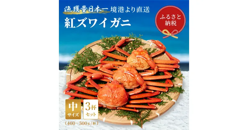 【ふるさと納税】【蟹セレブ】境港産 紅ズワイガニ 中3杯セット（400～500g×3）ボイル済 冷蔵【24-040-010】蟹 かに カニ 紅ずわいがに 紅ズワイ 紅がに 塩茹で 釜茹で ゆでがに 海鮮 海の幸 冬の味覚 鳥取県 米子市 送料無料