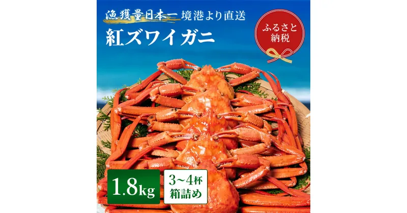 【ふるさと納税】【蟹セレブ】境港産 紅ズワイガニ 1.8kg箱詰め（3～4杯）ボイル済 冷蔵【24-052-003】蟹 かに カニ 紅ずわいがに 紅ズワイ 紅がに 塩茹で 釜茹で ゆでがに 海鮮 海の幸 冬の味覚 鳥取県 米子市 送料無料