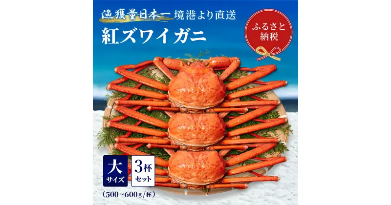 【ふるさと納税】【蟹セレブ】境港産 紅ズワイガニ 大3杯セット（500～600g×3）ボイル済 冷蔵【24-056-001】蟹 かに カニ 紅ずわいがに 紅ズワイ 紅がに 塩茹で 釜茹で ゆでがに 海鮮 海の幸 冬の味覚 鳥取県 米子市 送料無料