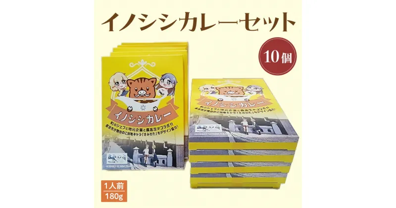 【ふるさと納税】イノシシ カレー セット （10個） レトルト 猪 ジビエ シチュー 惣菜 非常食 常温