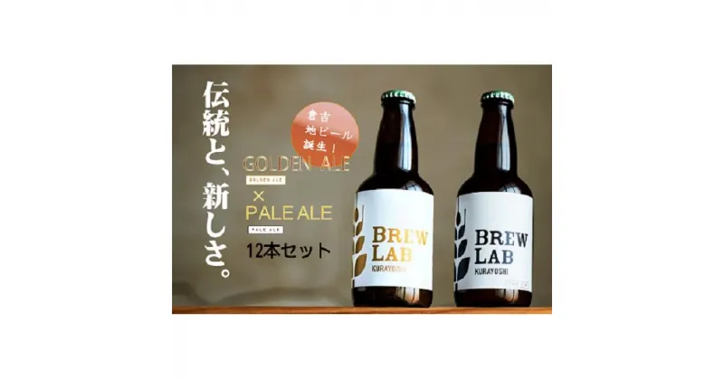 【ふるさと納税】クラフトビール ペールエール・ゴールデンエール飲み比べセット（ペールエール×6本 ゴールデンエール×6本 330ml×12本）[BREW LAB KURAYOSHI] 贈答品 ギフト 地ビール