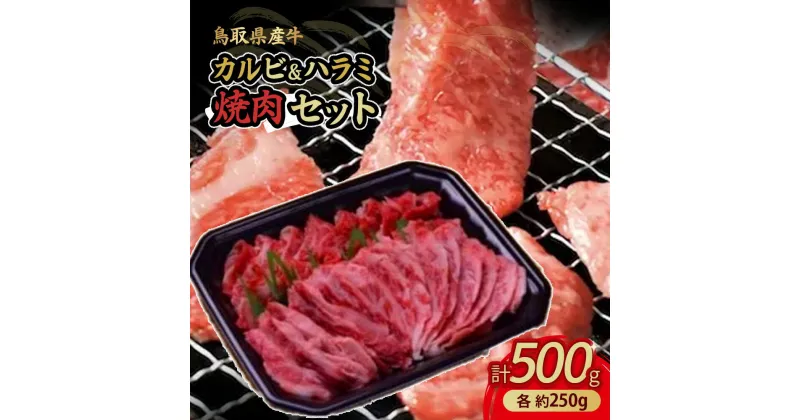 【ふるさと納税】鳥取県産牛 カルビ250g ＆ ハラミ250g 焼肉 セット 国産 牛肉 焼き肉 ブランド牛 肉 鳥取産