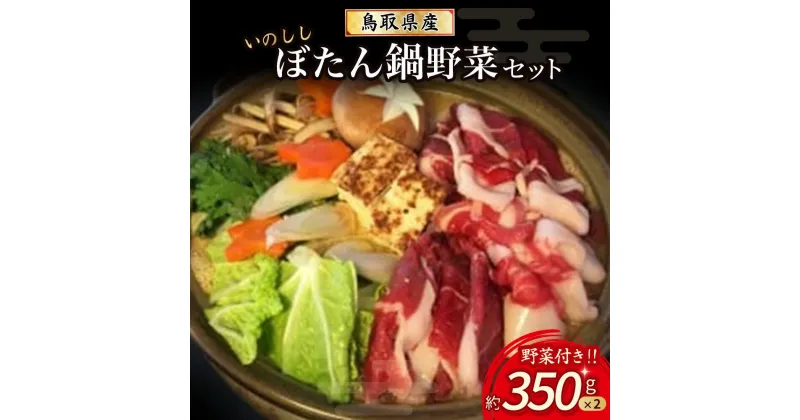 【ふるさと納税】 鳥取県産 いのししぼたん鍋セット（約350g×2） ジビエ 猪 いのしし 猪肉 ぼたん鍋 鍋セット 野菜セット