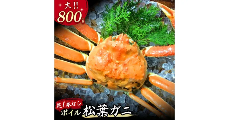 【ふるさと納税】 【先行予約】【魚倉】足1本なし ボイル 松葉ガニ （大 800g 以上） 訳あり ズワイガニ 焼きがに 鍋 松葉蟹 欠け カニ かに かにしゃぶ 規格外 不揃い キズ 【11月から3月発送予定】 早期受付 先行予約