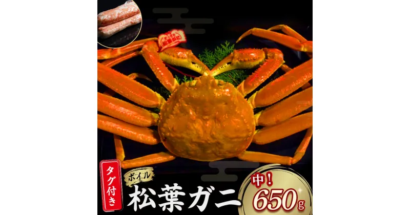 【ふるさと納税】 【先行予約】【魚倉】タグ 付き ボイル 松葉ガニ（中 650g 以上） ズワイガニ 松葉蟹 カニ かに かにしゃぶ 【11月から3月発送予定】早期受付 先行予約