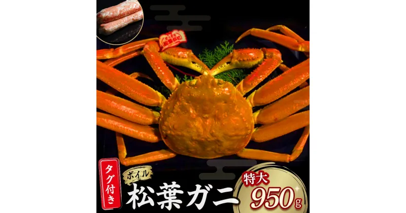 【ふるさと納税】 【先行予約】【魚倉】タグ 付き ボイル 松葉ガニ （特大 950g 以上） ズワイガニ 松葉蟹 カニ かに かにしゃぶ 【11月から3月発送予定】 早期受付 先行予約