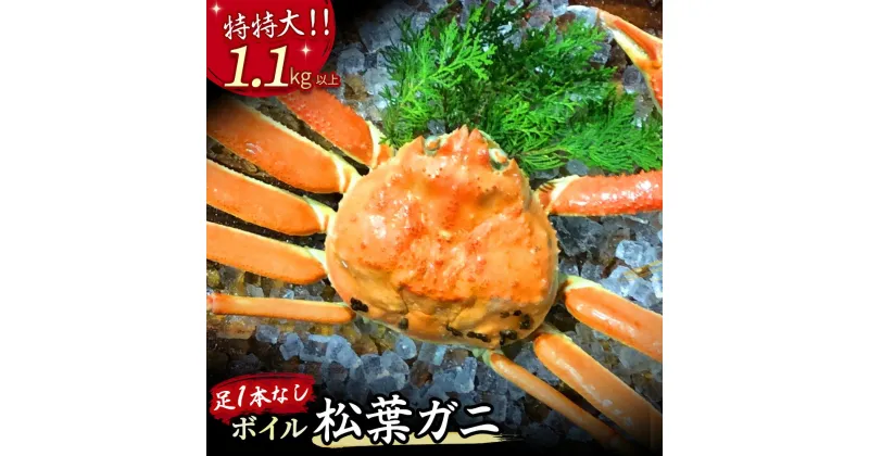 【ふるさと納税】 【先行予約】【魚倉】足1本なし ボイル 松葉ガニ （特特大 1,100g 以上） 訳あり ズワイガニ 松葉蟹 欠け カニ かに かにしゃぶ 【11月から3月発送予定】 早期受付 先行予約