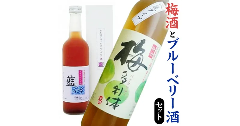 【ふるさと納税】梅酒 と ブルーベリー酒 セット500ml 2本 飲み比べ 家飲み 宅飲み お酒 日本酒 梅酒 果実酒 梅多利体 藍