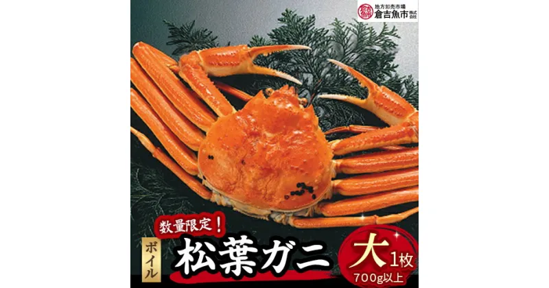 【ふるさと納税】【先行予約】【倉吉魚市】ボイル 松葉がに 700g以上 (大) 松葉ガニ 松葉蟹 ずわいがに カニ かに 蟹 かにしゃぶ 鳥取県