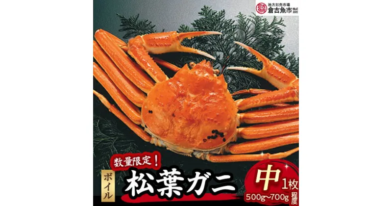 【ふるさと納税】【倉吉魚市】ボイル 松葉がに 500gから700g程度(中) 松葉ガニ 松葉蟹 ずわいがに カニ かに 蟹 かにしゃぶ 鳥取県