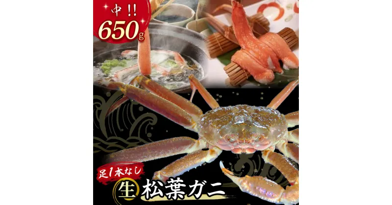 【ふるさと納税】【先行予約】【魚倉】足1本なし 生 松葉ガニ （中650g） 訳あり ズワイガニ 松葉蟹 欠け カニ かに かにしゃぶ 【11月から3月発送予定】 早期受付 先行予約