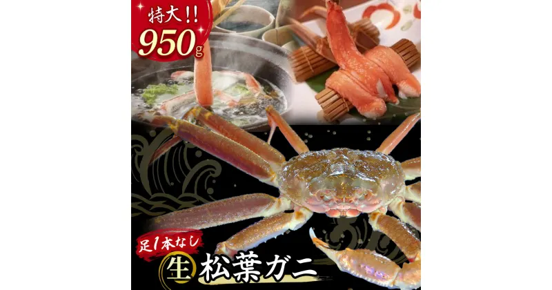 【ふるさと納税】 【先行予約】【魚倉】足1本なし 生 松葉ガニ（特大950g）訳あり 松葉蟹 欠け 規格外 不揃い キズ カニ かに かにしゃぶ 【11月から3月発送予定】 早期受付 先行予約