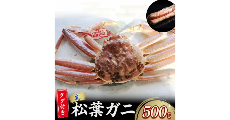 【ふるさと納税】 【先行予約】【魚倉】 タグ付き 生 松葉ガニ （500g） ズワイガニ 松葉蟹 カニ かに かにしゃぶ 【11月から3月発送予定】