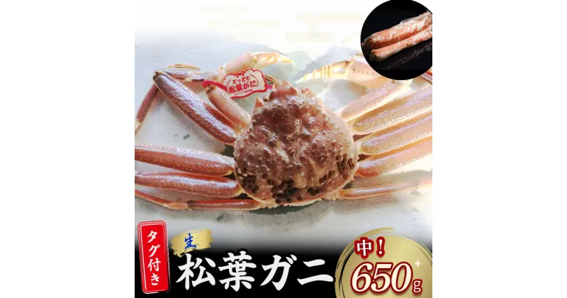 【ふるさと納税】 【先行予約】【魚倉】 タグ 付き 生 松葉ガニ （中650g） ズワイガニ 松葉蟹 カニ かに かにしゃぶ 【11月から3月発送予定】 早期受付 先行予約