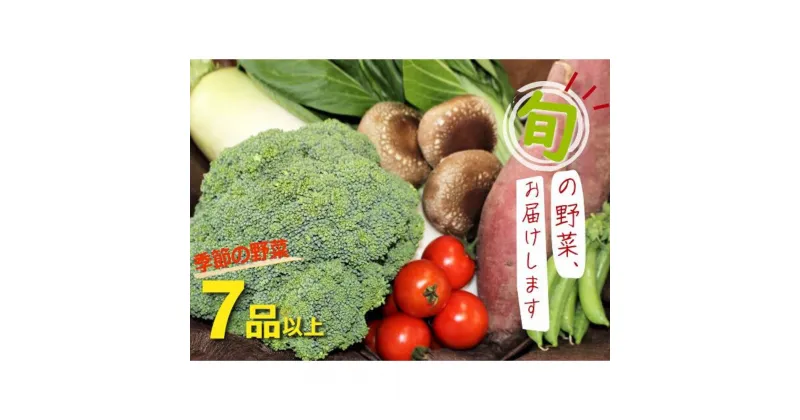 【ふるさと納税】季節のお野菜 セット 鳥取県産 野菜 旬 新鮮 詰め合わせ 詰合せ おまかせ 常温