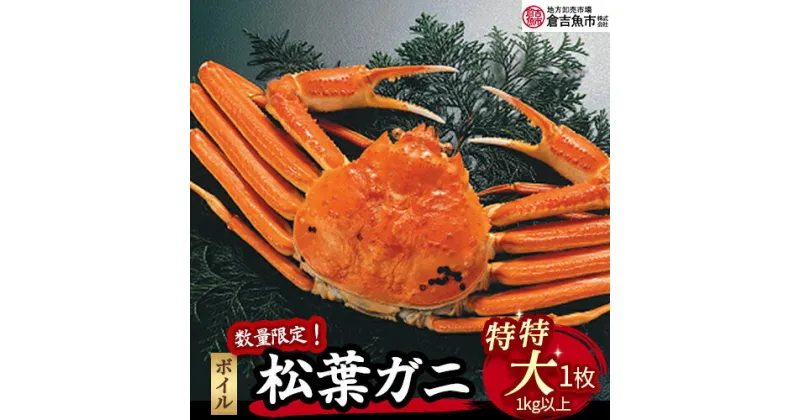 【ふるさと納税】【倉吉魚市】ボイル 松葉がに （特特大）1kg以上 数量限定品 松葉ガニ 松葉蟹 ずわいがに カニ かに 蟹 かにしゃぶ 鳥取県