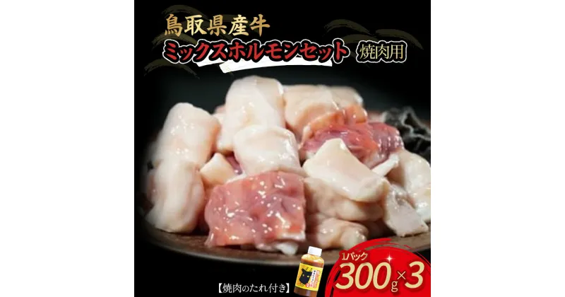 【ふるさと納税】鳥取県産 牛 焼肉用ミックスホルモンセット 国産 ホルモン 焼肉 焼き肉 小分け