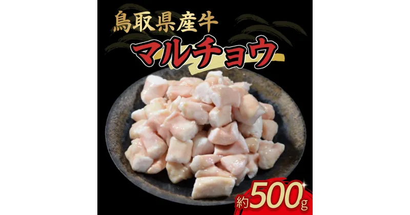 【ふるさと納税】鳥取県産 牛 マル腸 500g 国産 牛肉 マルチョウ ホルモン 肉 県産牛 鍋 焼肉 焼き肉 炒め物 もつ