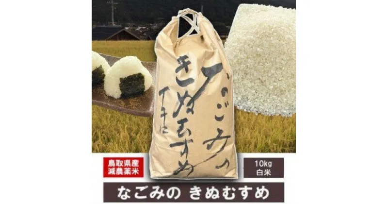 【ふるさと納税】 令和6年産米 なごみのきぬむすめ (10kg) 新米 お米 米 こめ コメ 白米 ブランド おいしい 健康 産地直送 米10キロ きぬむすめ