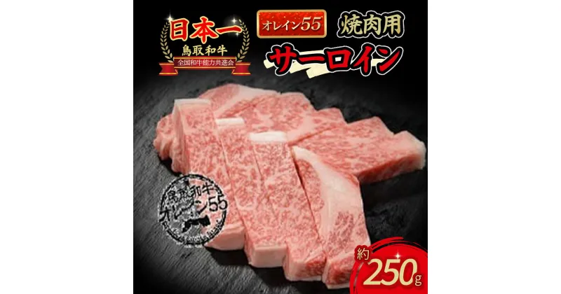 【ふるさと納税】鳥取和牛 オレイン55 サーロイン 焼肉用 国産 牛肉 肉 和牛 サーロイン 焼き肉 黒毛和牛