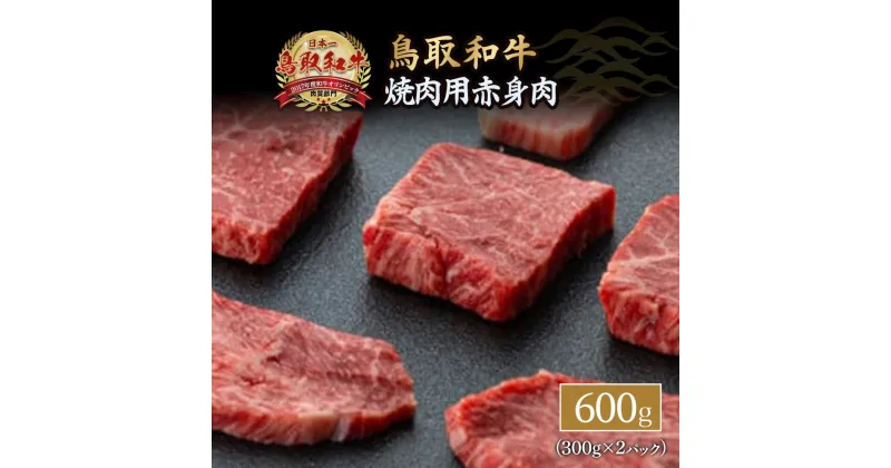 【ふるさと納税】鳥取和牛 焼肉用 赤身肉 600g 国産 牛肉 焼肉 焼き肉 小分け 赤身 ウデ モモ バーベキュー 和牛 黒毛和牛