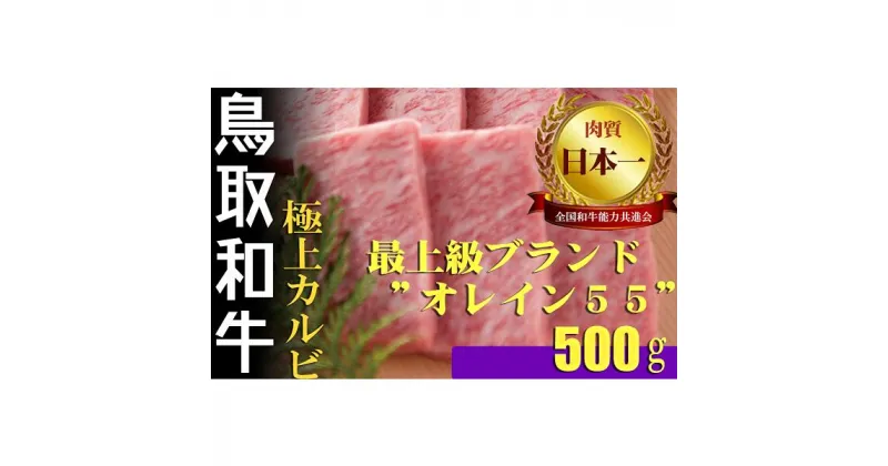 【ふるさと納税】鳥取和牛 最上級A5ランク オレイン55 極上カルビ 焼肉用 （大） 約500g 国産 牛肉 和牛 黒毛和牛 カルビ 焼肉 焼き肉