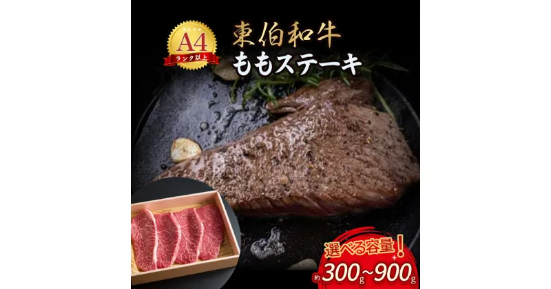 【ふるさと納税】東伯和牛 もも ステーキ （300g～900g） 国産 牛肉 肉 和牛 黒毛和牛 赤身 モモ ステーキ