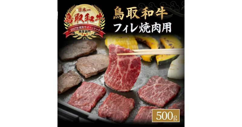 【ふるさと納税】 鳥取和牛 フィレ 焼肉用 （約500g） 鳥取和牛 黒毛和牛 国産 牛肉 和牛 ヒレ ヒレステーキ 焼き肉 BBQ 高級部位