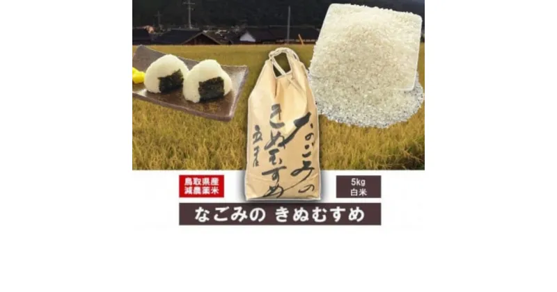 【ふるさと納税】 令和6年産米 なごみのきぬむすめ（5kg） 新米 お米 米 こめ コメ 白米 ブランド おいしい 健康 産地直送 米5キロ きぬむすめ 倉吉